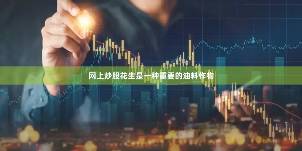 网上炒股花生是一种重要的油料作物